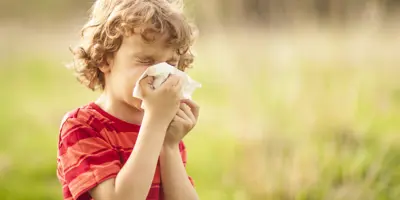 Rinitis Alergica Remedios